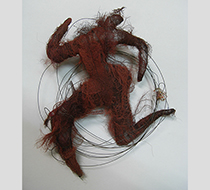 ネットキューブ